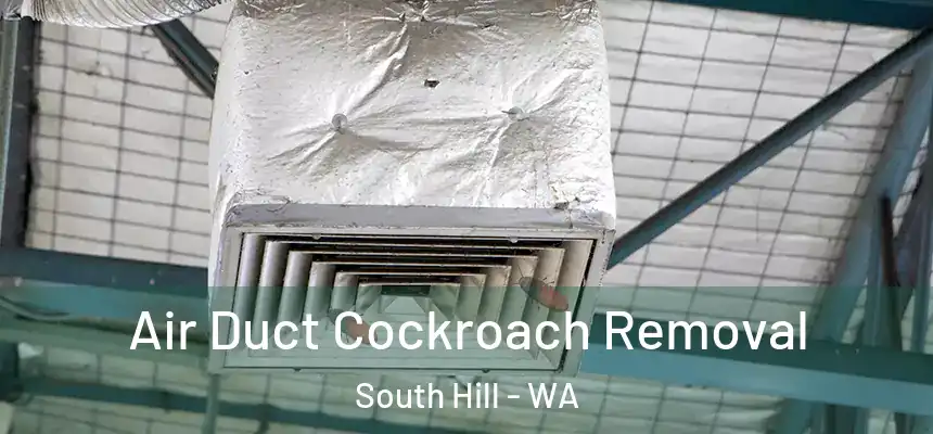  Air Duct Cockroach Removal South Hill - WA