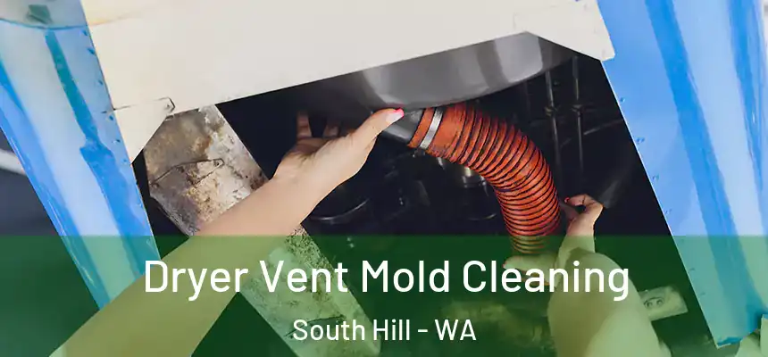  Dryer Vent Mold Cleaning South Hill - WA