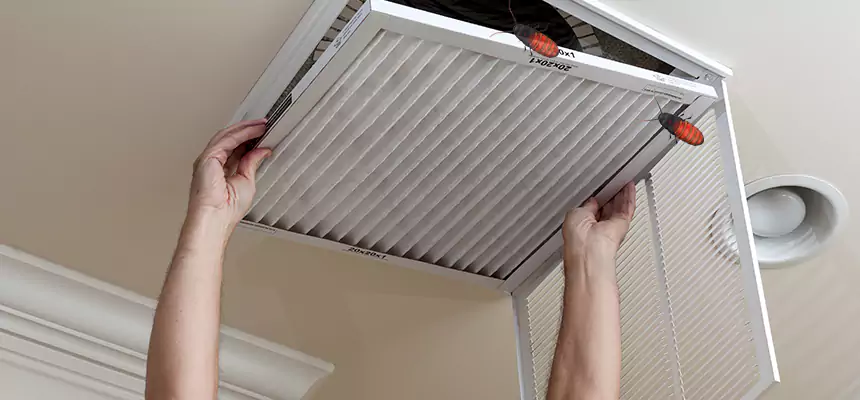 Preventive Cockroach-Proofing for Ducts in South Hill