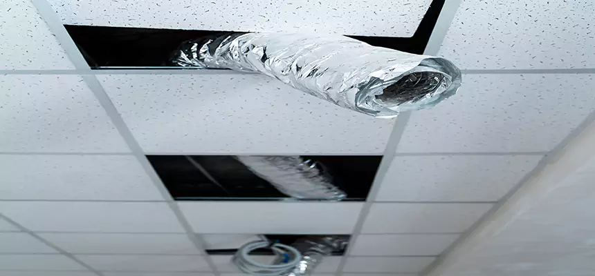 Our Air Duct Pet Hair Removal Services in South Hill, WA