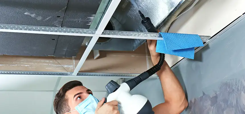 Our Air Duct Rodent Removal Services in South Hill, WA