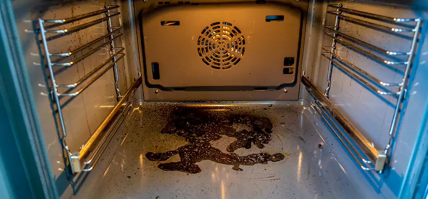 Our Dryer Vent Mold Cleaning Services in South Hill, WA