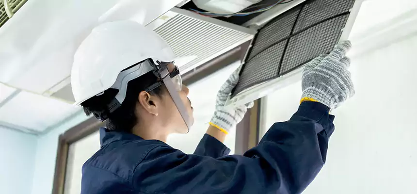 Our Mold & Mildew Removal from Air Ducts Services in South Hill, WA