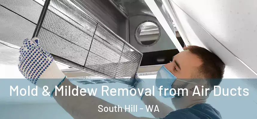  Mold & Mildew Removal from Air Ducts South Hill - WA