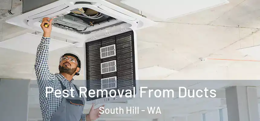  Pest Removal From Ducts South Hill - WA