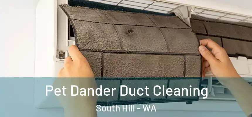  Pet Dander Duct Cleaning South Hill - WA
