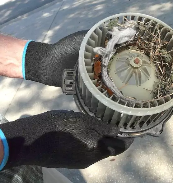 About Air Duct Rat Removal in South Hill, WA