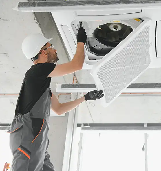 About Air Duct Rodent Removal in South Hill, WA