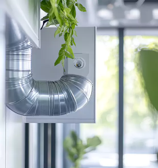 Professional Eco-Friendly Duct Cleaning Services in South Hill, WA