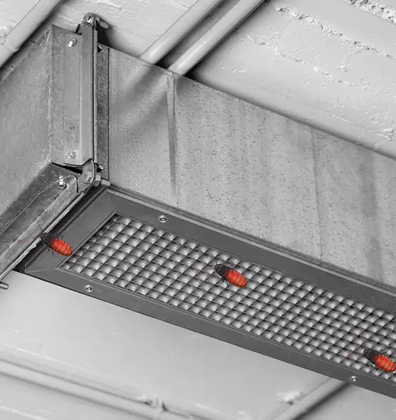 Affordable Insect Removal from Air Ducts in South Hill, WA