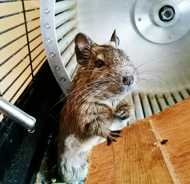 Why Homeowners & Businesses Trust Us South Hill, WA?