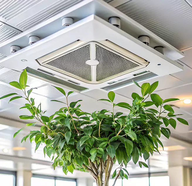 Why Homeowners & Businesses Trust Us in South Hill, WA