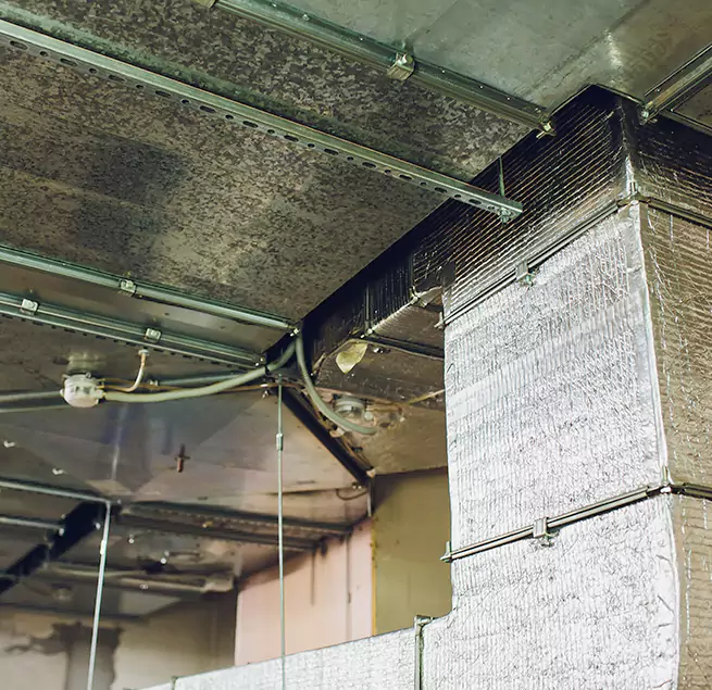 Why Homeowners & Businesses Trust Us in South Hill, WA?